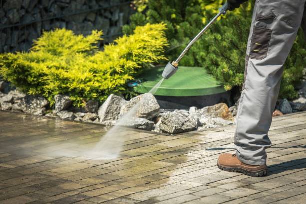 Larkspur, CA Pressure Washing Services Company